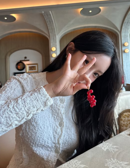 /사진=효민 SNS