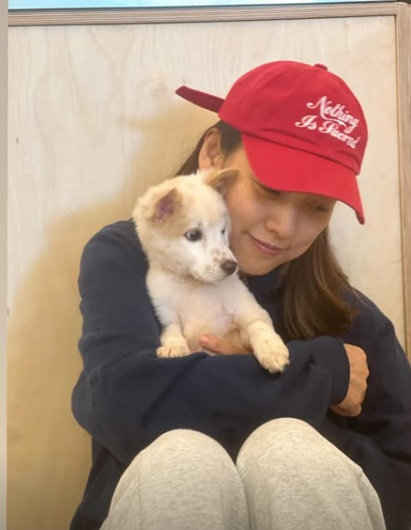 /사진=이효리 개인계정