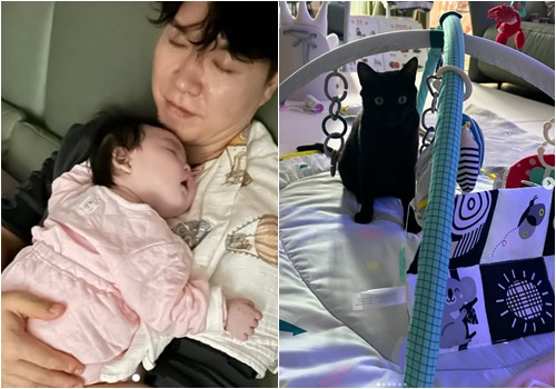 /사진=박수홍 개인계정
