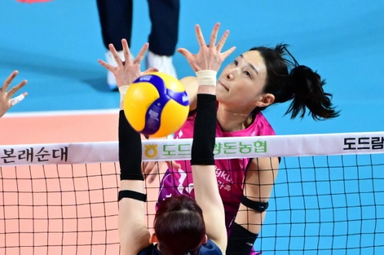 흥국생명 김연경. /사진=KOVO 제공