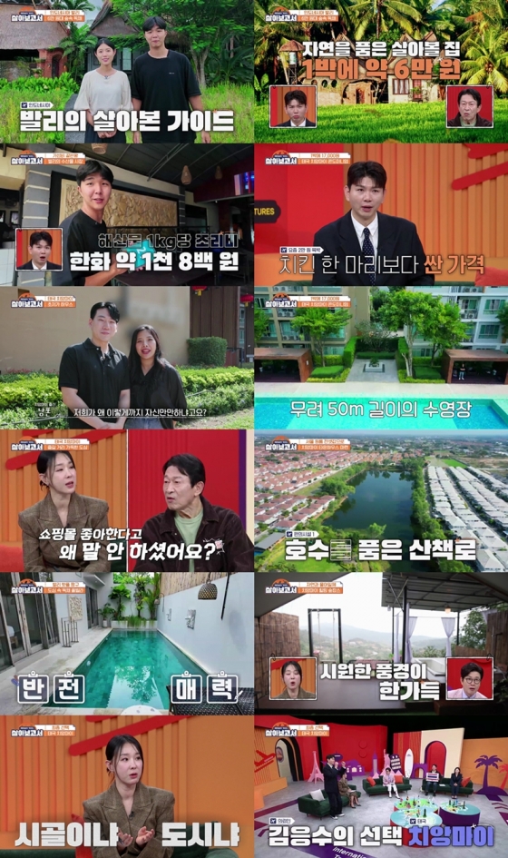 /사진=MBN, MBC드라마넷