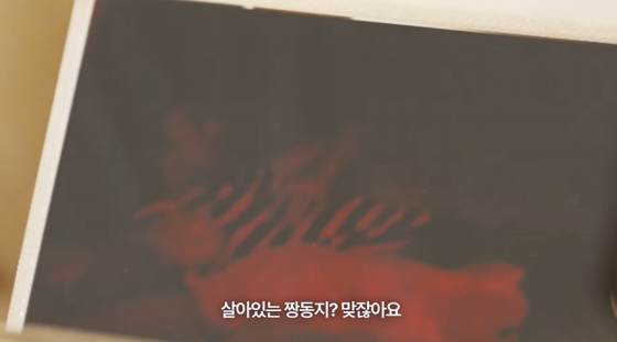 /사진=유튜브 '바로 그 고소영'