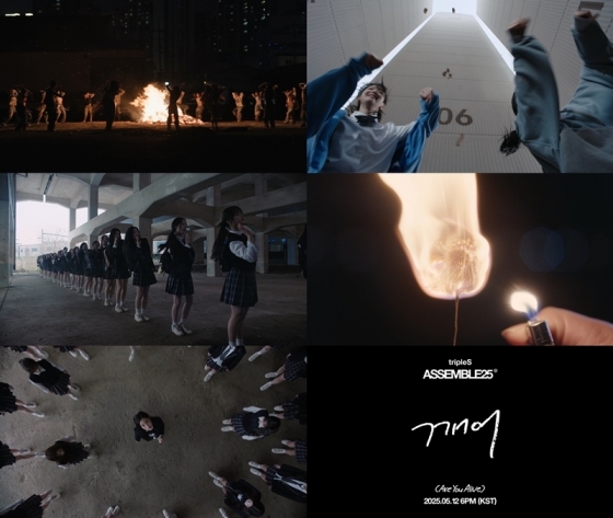 트리플에스 어셈블25 /사진제공=모드하우스