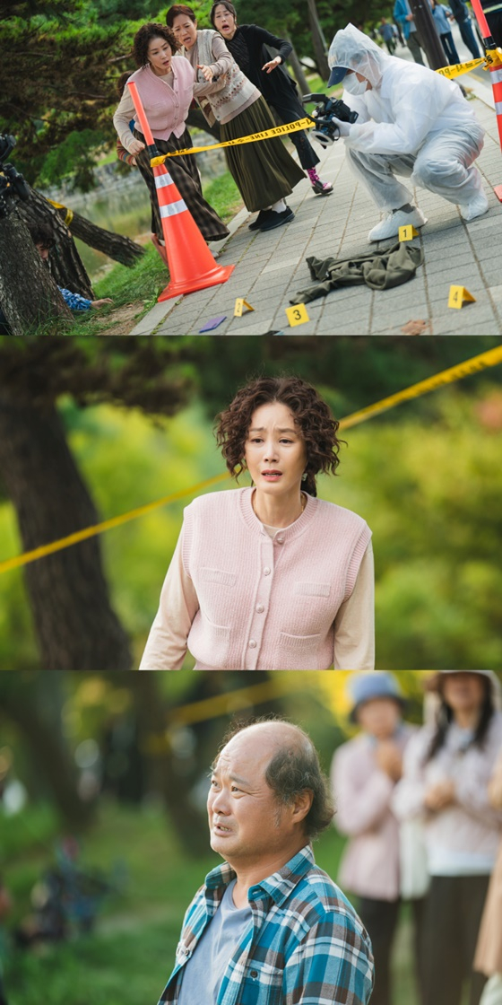 /사진=tvN