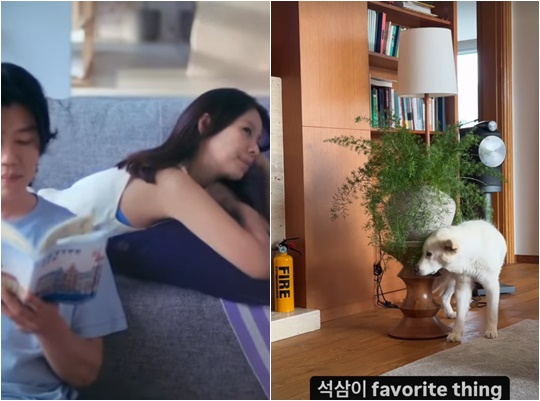 /사진=이효리 개인 계정