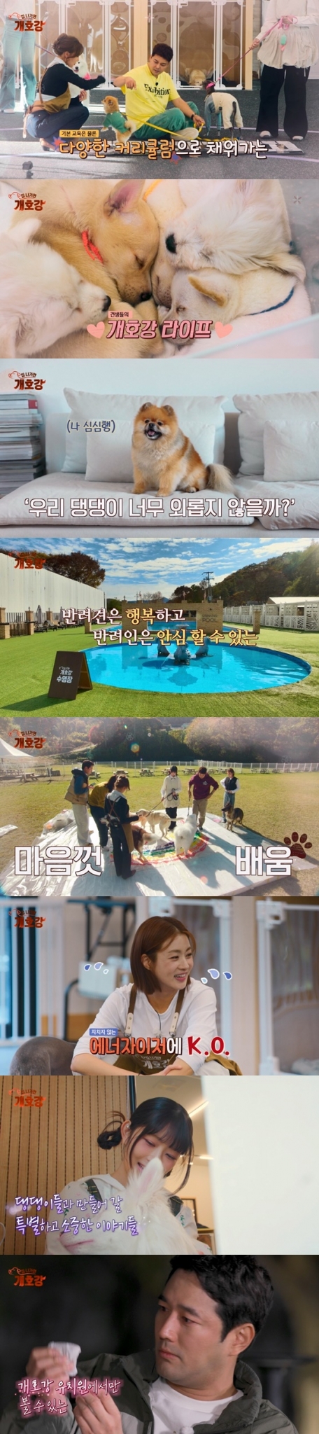 /사진=&#039;집나가면 개호강&#039;