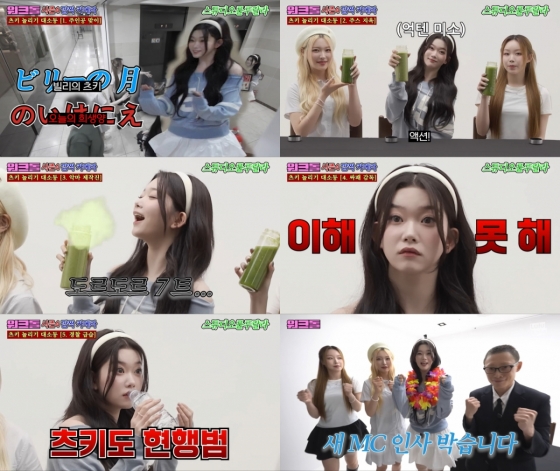 /사진=&#039;워크돌&#039; 시즌4 