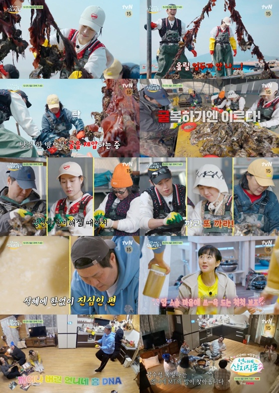 /사진=tvN &#039;언니네 산지직송2&#039; 