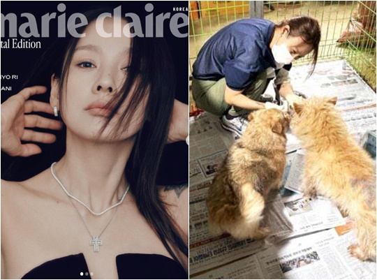 /사진=마리끌레르, 이효리 개인계정