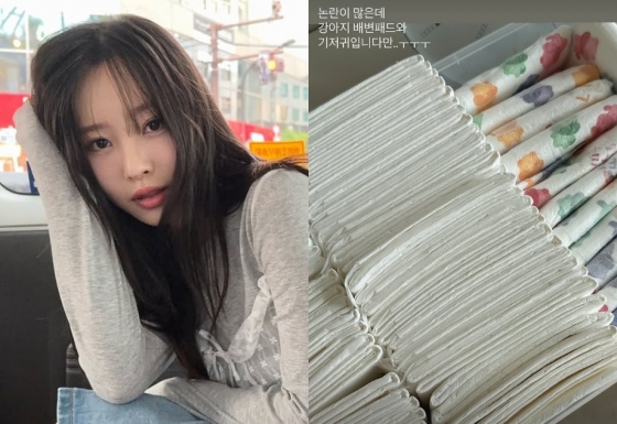 /사진=이솔이 SNS