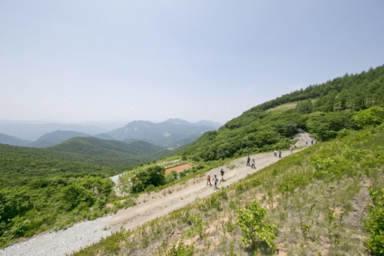 운탄고도/사진제공=강원랜드