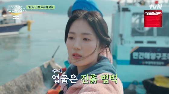 /사진= tvN &#039;언니네 산지직송2&#039; 방송화면
