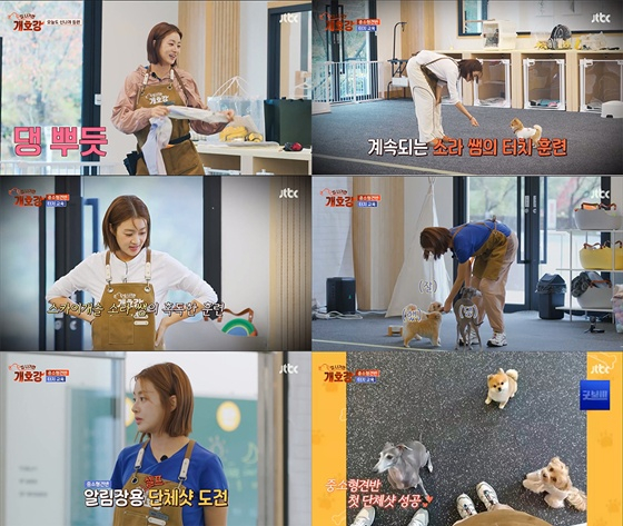 /사진=JTBC &#039;집 나가면 개호강&#039;