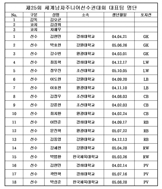 /사진=대한핸드볼협회