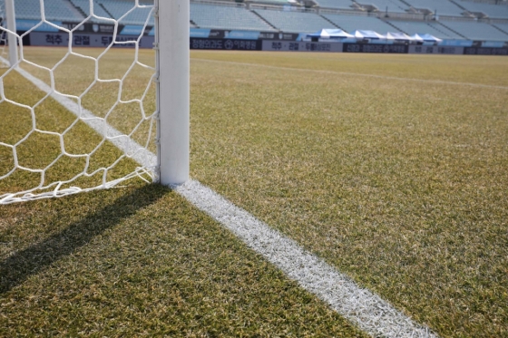 천안종합운동장 잔디. /사진=한국프로축구연맹 제공