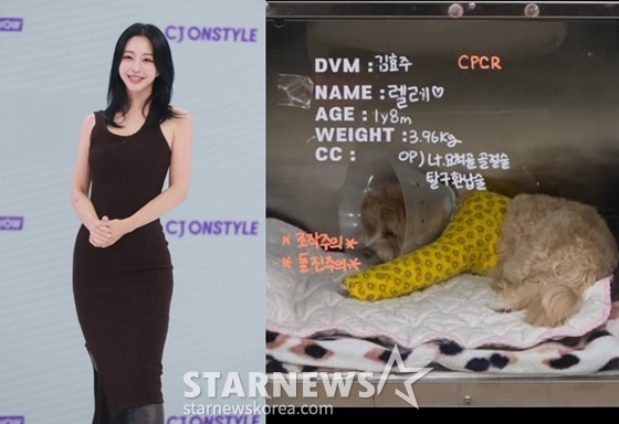 한예슬 /사진=스타뉴스, 인스타그램