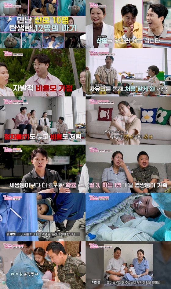 /사진=TV조선