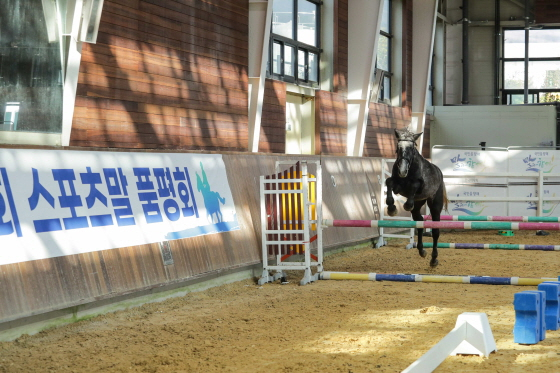 /사진제공=한국마사회