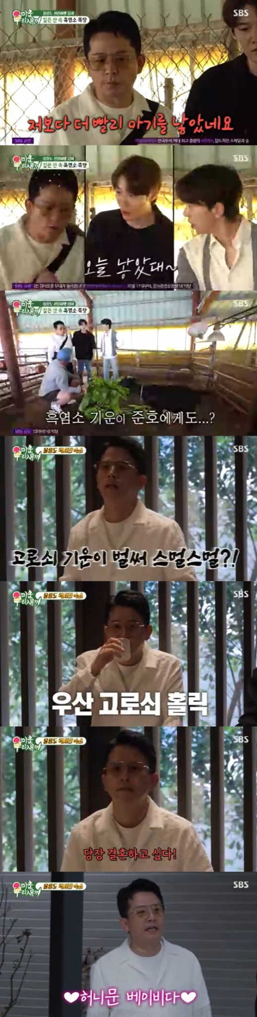 /사진=SBS &#039;미운 우리 새끼&#039; 캡처