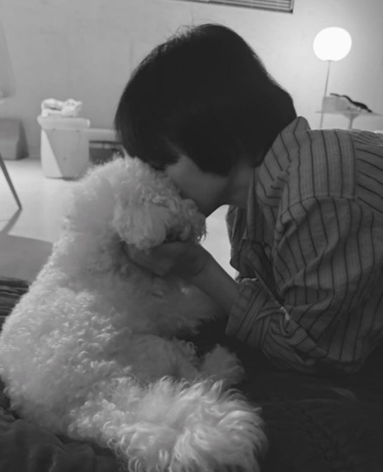 /사진=송혜교 SNS