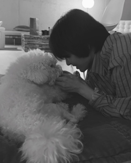 /사진=송혜교 SNS