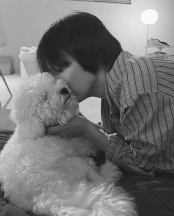 /사진=송혜교 SNS