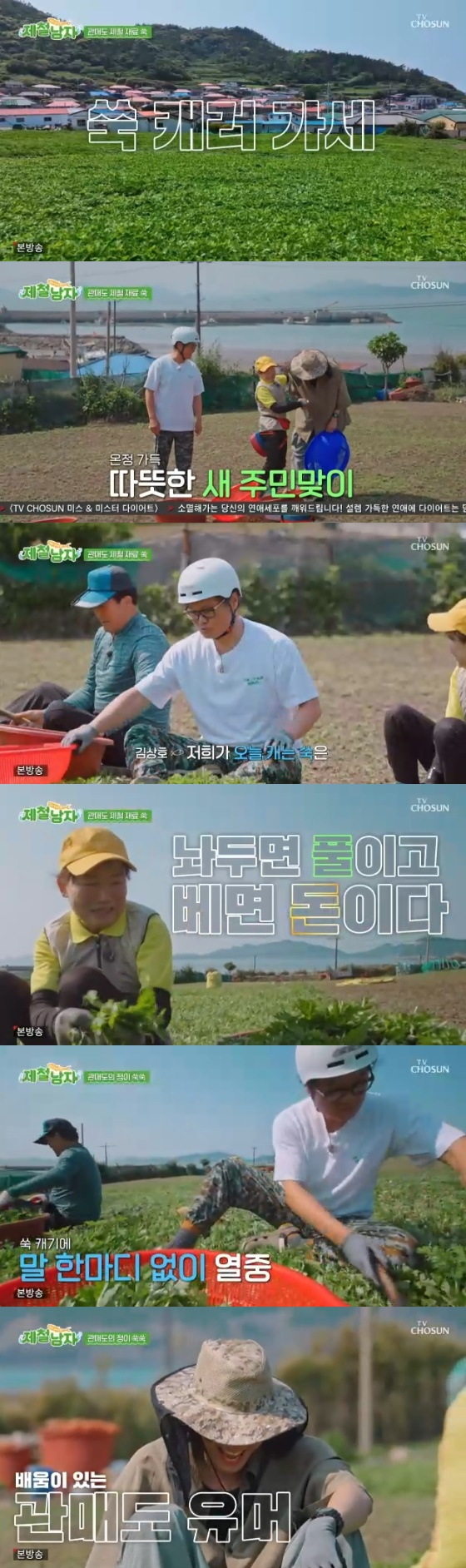 /사진= TV조선 &#039;제철남자&#039; 방송화면