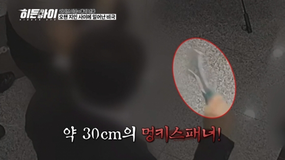 /사진제공=MBC플러스