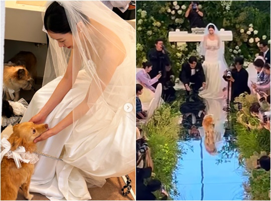 /사진=서동주 개인계정
