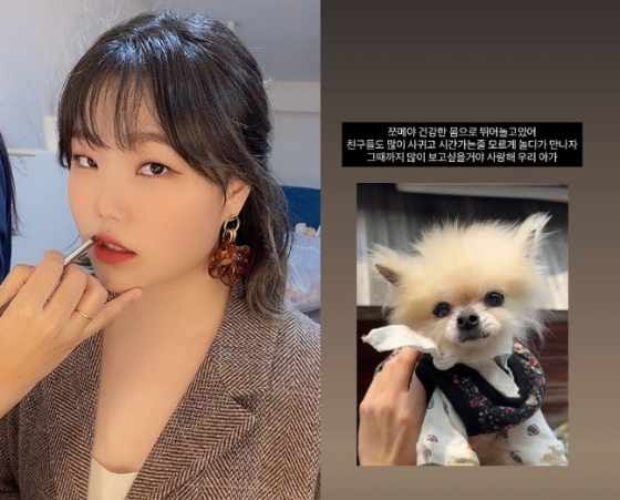 /사진=이수현 SNS