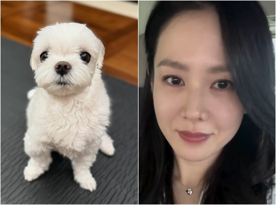 /사진=손예진 개인계정