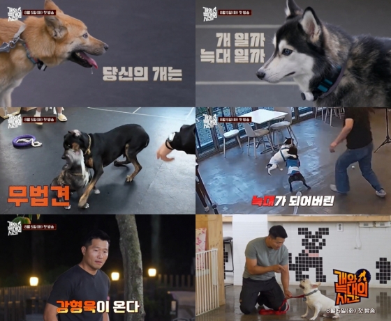 &#039;개와 늑대의 시간&#039;