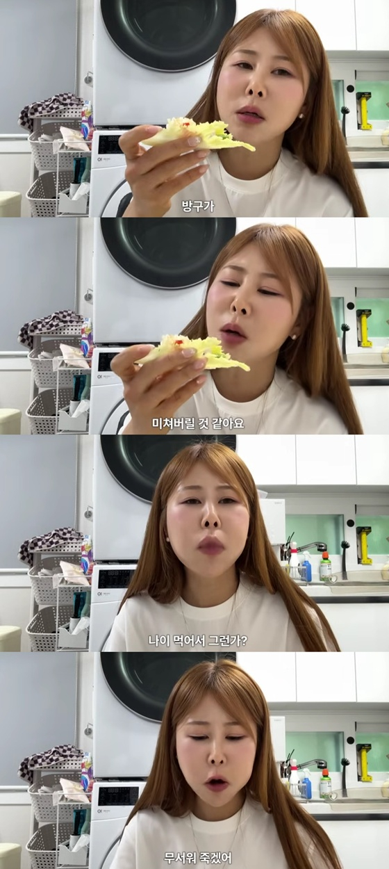 /사진=유튜브 안녕하세미