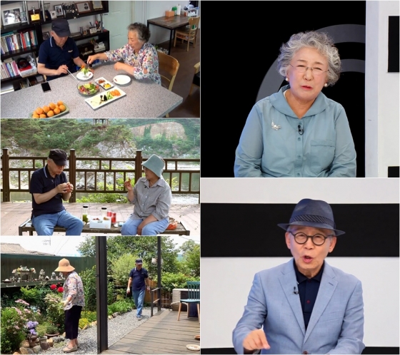 /사진=TV조선 &#039;퍼펙트 라이프&#039;