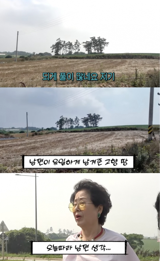 /사진=&#039;순풍 선우용여&#039; 영상화면 캡쳐