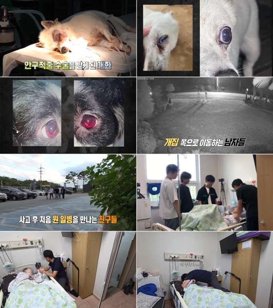 /사진=MBC
