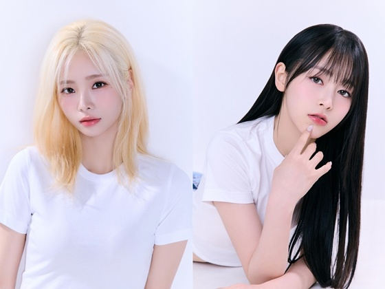 /사진=빅엔터테인먼트