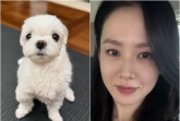 '현빈♥' 손예진, 아들 육아 중에도 딸은 어렵네.."밥도 먹고 다했는데"