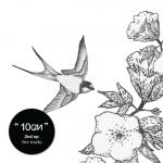 [대놓고인디]올해의음반 20선⑬10cm '2nd EP'
