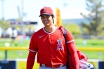 '연봉 겨우 72억' 오타니, 광고 수익은 260억 '상한가' [이상희의 MLB 스토리]
