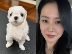 '현빈♥' 손예진, 아들 육아 중에도 딸은 어렵네.."밥도 먹고 다했는데"