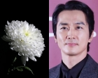 송승헌도 국화꽃 띄웠다..먹먹한 위로 &quot;제주항공 사고 희생자 애도&quot;