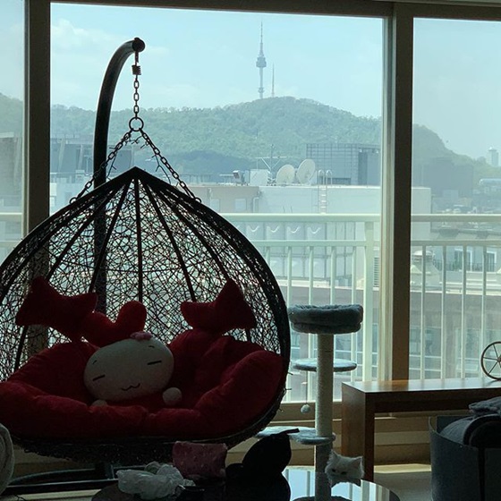  우리집 남산뷰 미나♥류필립, 이사간 집 공개 - 스타뉴스  우리집 남산뷰 미나♥류필립, 이사간 집 공개 - 스타뉴스