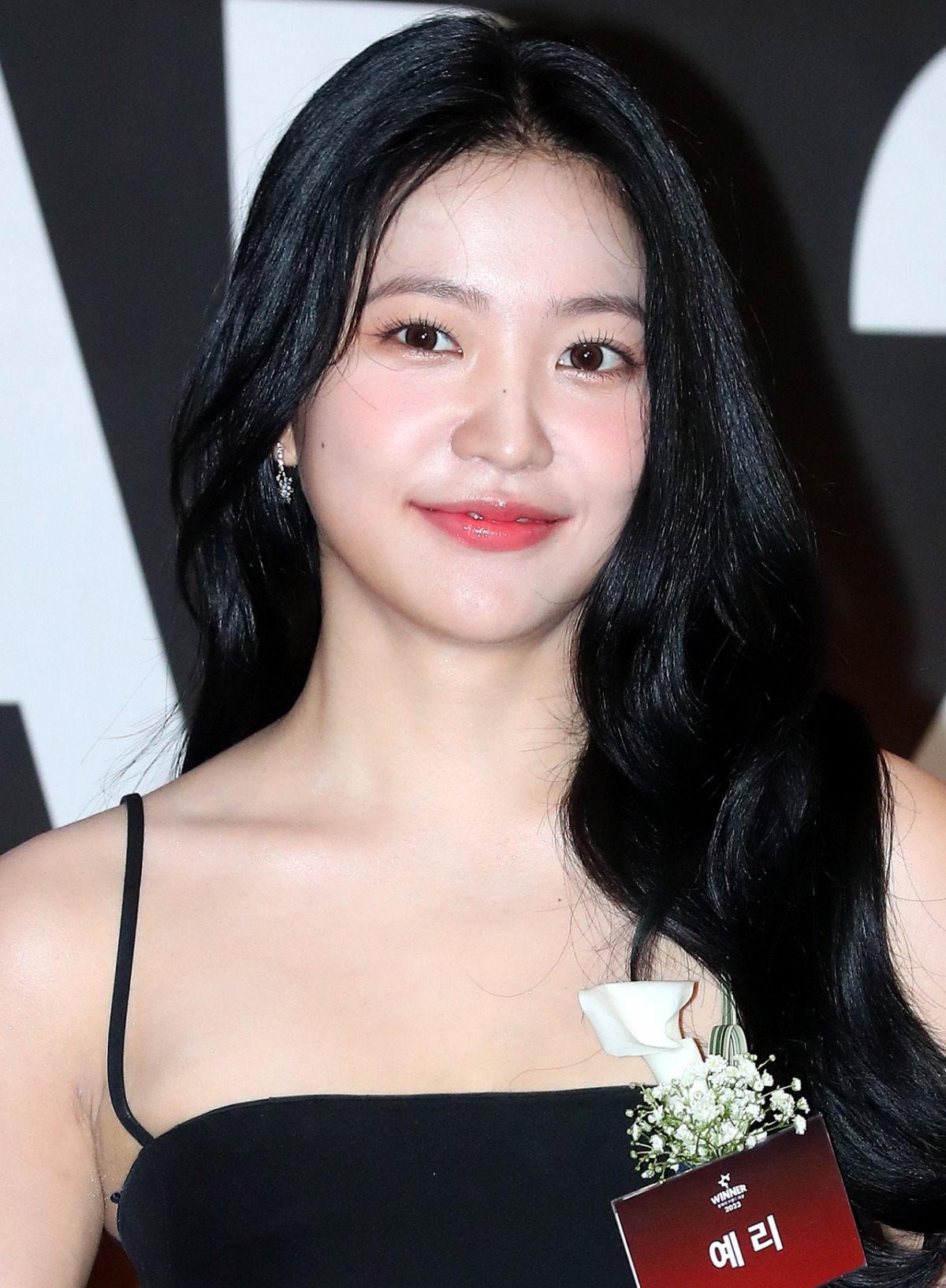 [단독]'탈 SM' 레드벨벳 예리, 배우 전향하나..주지훈과 한솥밥 유력 [★... - 뉴스 썸네일 이미지