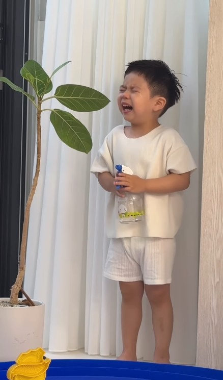 제이쓴♥홍현희 子, 나무 붙잡고 오열..한지민 "너무 귀여워"