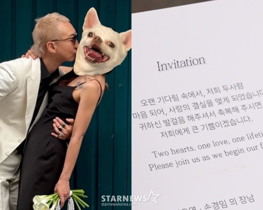 노브레인 라이브 사진