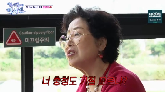 비서진 현장