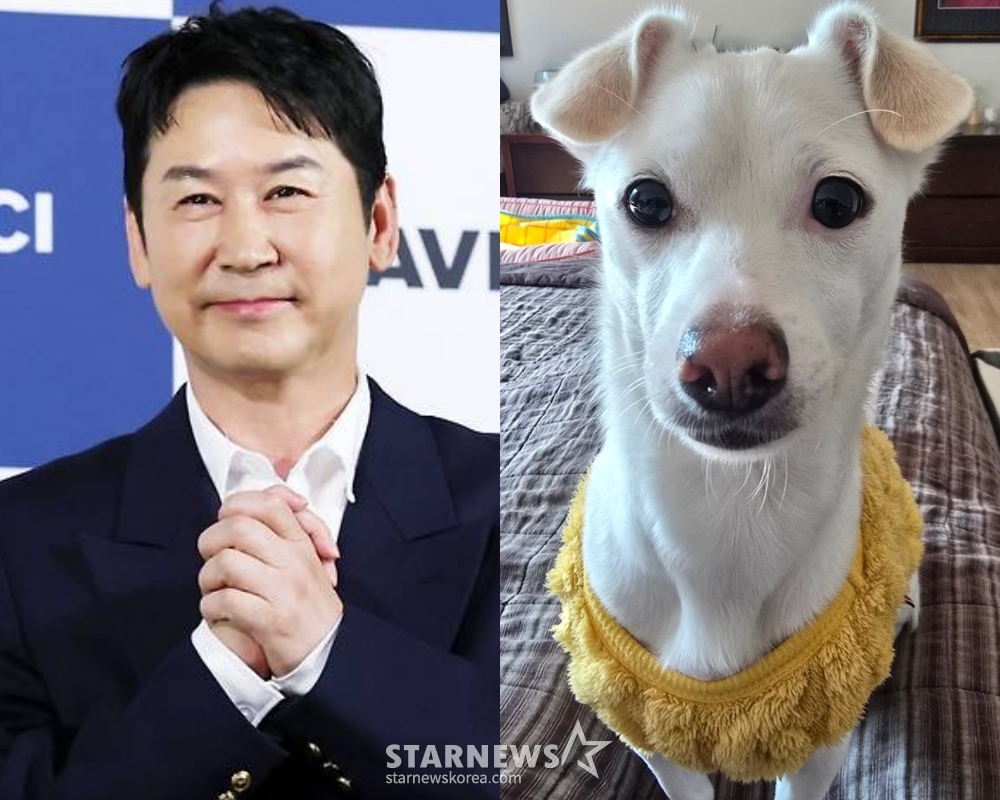 '선혜윤♥' 신동엽, 등짝 스매싱 날벼락.."술 먹다 남긴 음식, 크림이가 먹어"