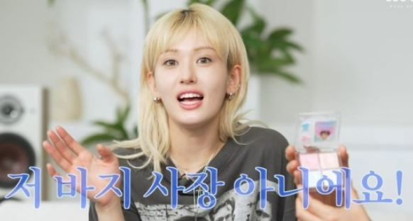 스타뉴스 보도 이미지 전소미 글맆 사과