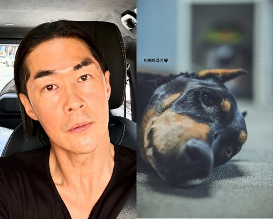 배정남, '펫로스 증후군' 2달째..반려견 '벨' 아련한 시선에 "아빠바라기♥"